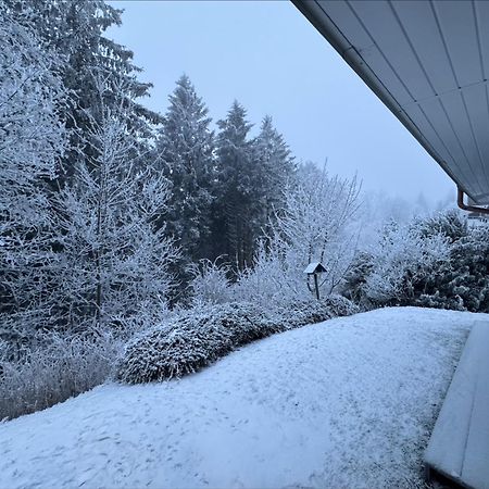 Apartment Maja Unmittelbar An Der Skipiste Winterberg Exteriér fotografie