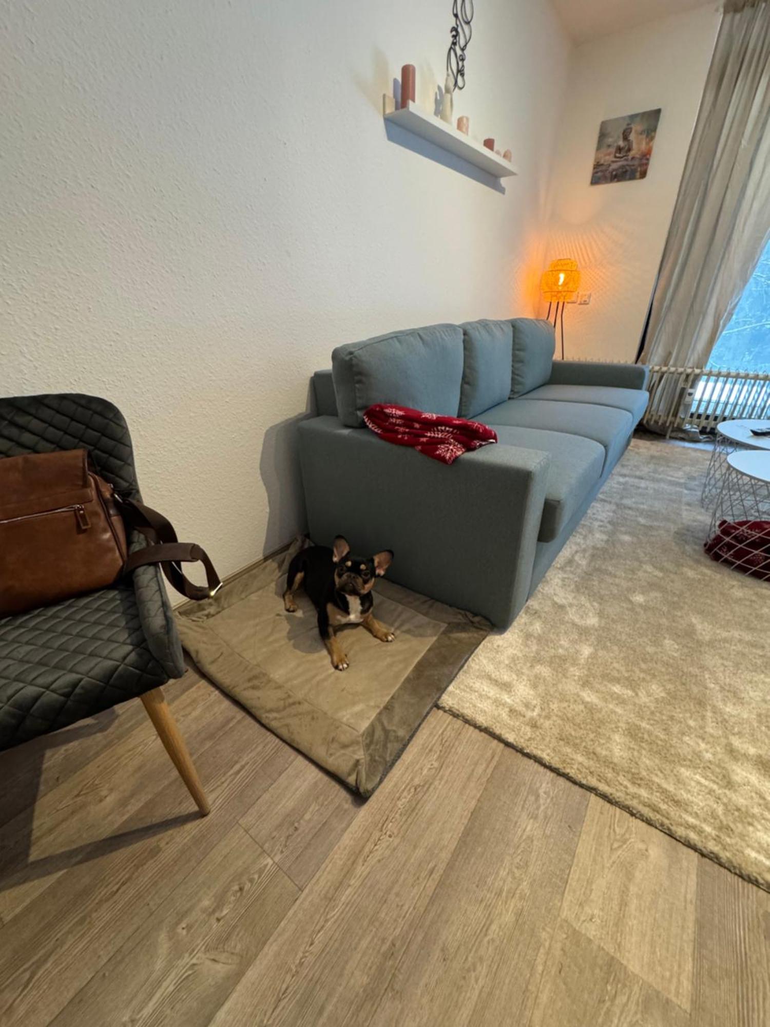 Apartment Maja Unmittelbar An Der Skipiste Winterberg Exteriér fotografie